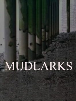Mudlarks Cover