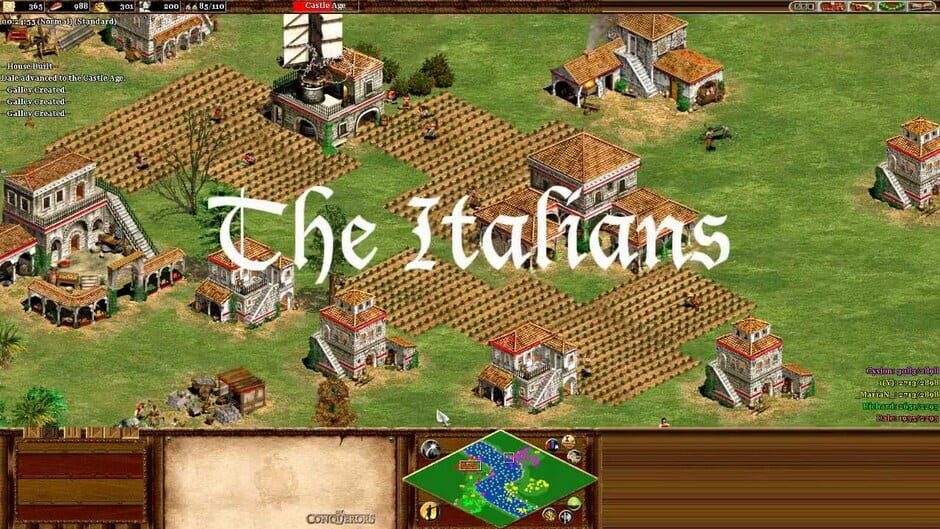 Age of Empires II: Forgotten Empires Screenshot