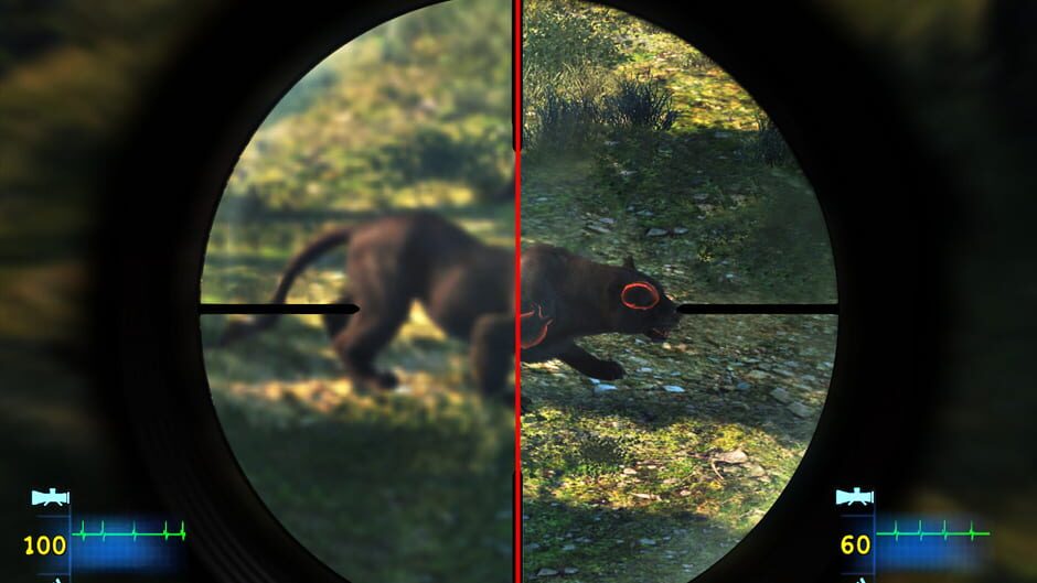 Cabela's Dangerous Hunts 2013 Screenshot
