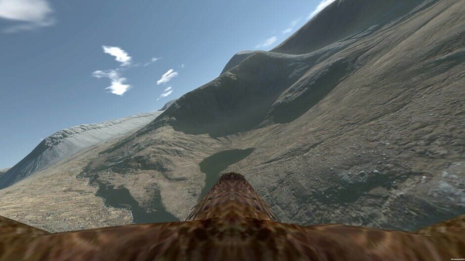 Aquila Bird Flight Simulator Screenshot