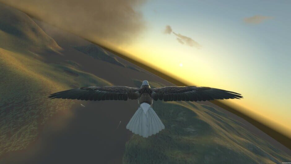 Aquila Bird Flight Simulator Screenshot