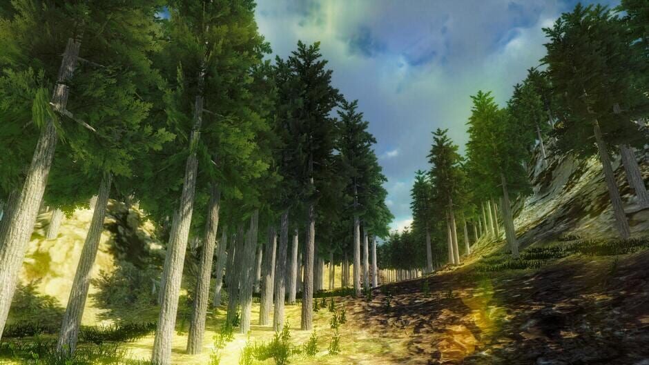 Nature Walk Simulator Screenshot