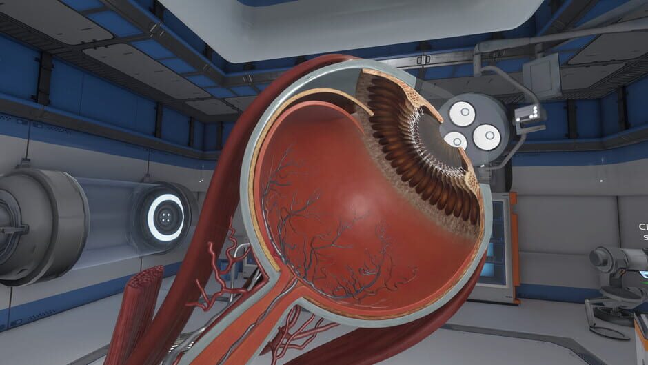 The Physiology of the Eye Screenshot