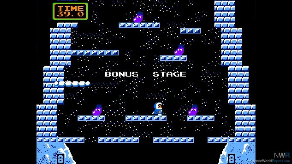 Arcade Archives: Ice Climber Screenshot