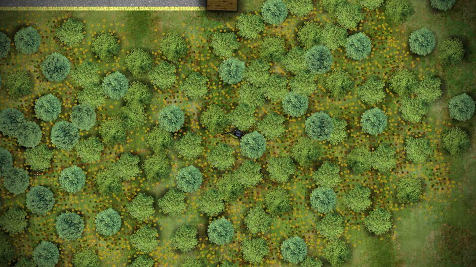 Battlegrounds2D.io Screenshot