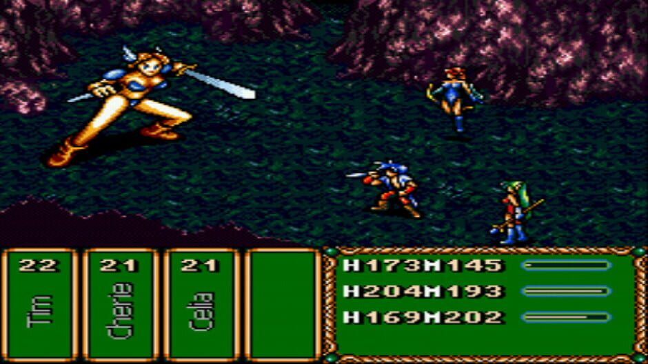 Brave Battle Saga: Legend of the Magic Warrior Screenshot