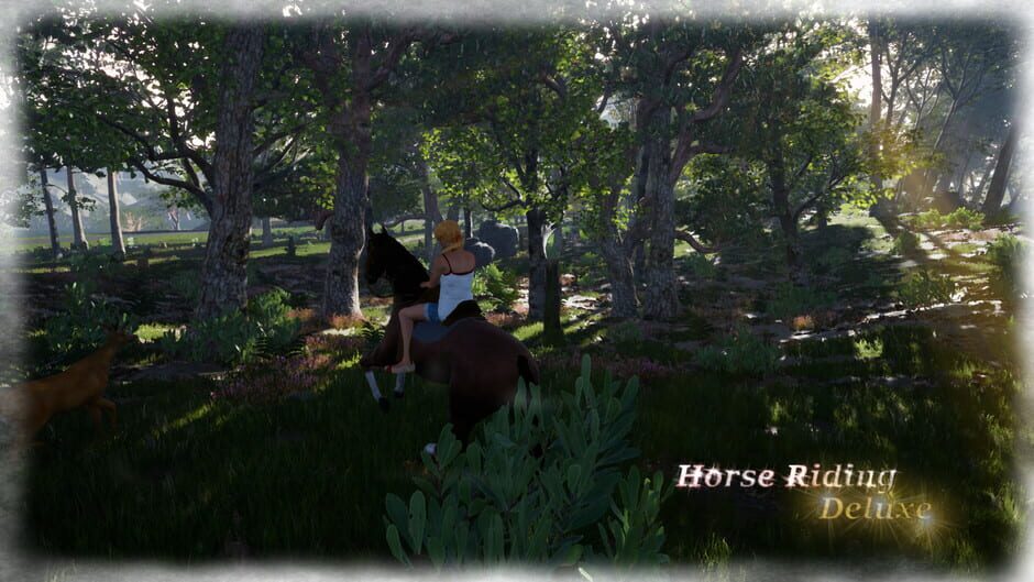 Horse Riding Deluxe Screenshot