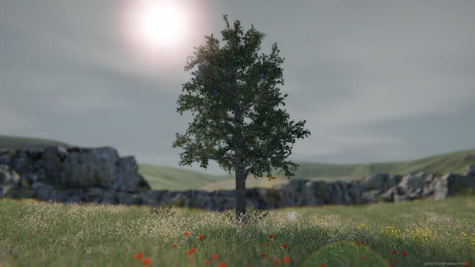 Tree Simulator 2020 Screenshot