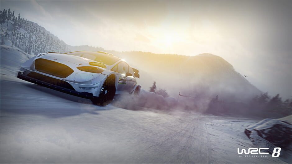 WRC 8 Screenshot