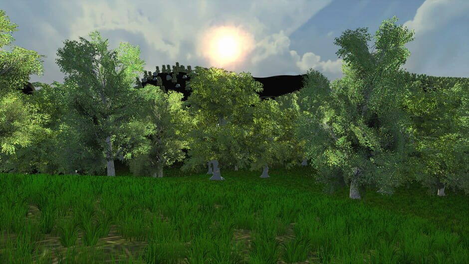 Trials of Wilderness Screenshot