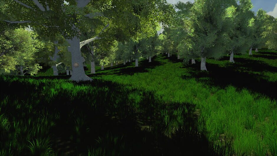 Trials of Wilderness Screenshot