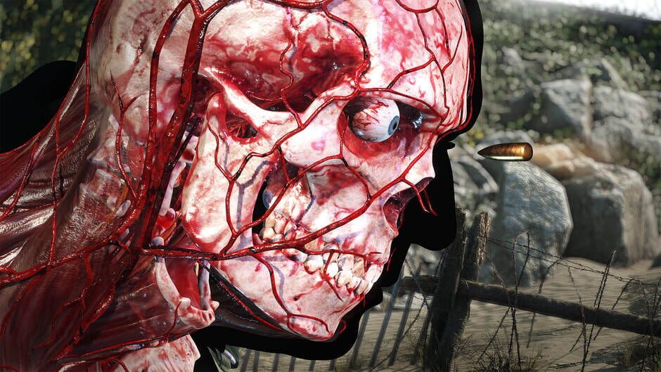 Sniper Elite 5: Deluxe Edition Screenshot