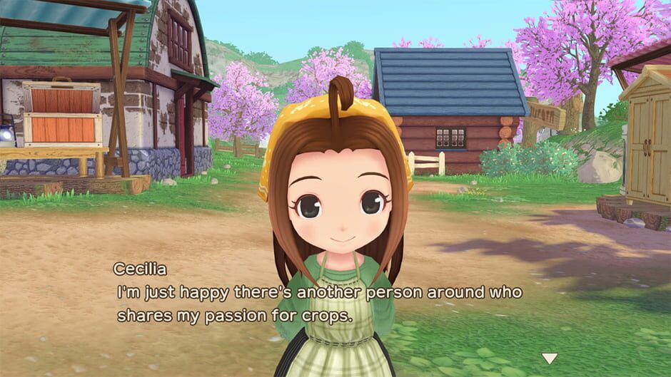 Story of Seasons: A Wonderful Life Screenshot